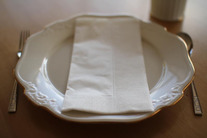 【ビュッフェやディナー時のひざかけなどに】 2プライペーパーナプキン